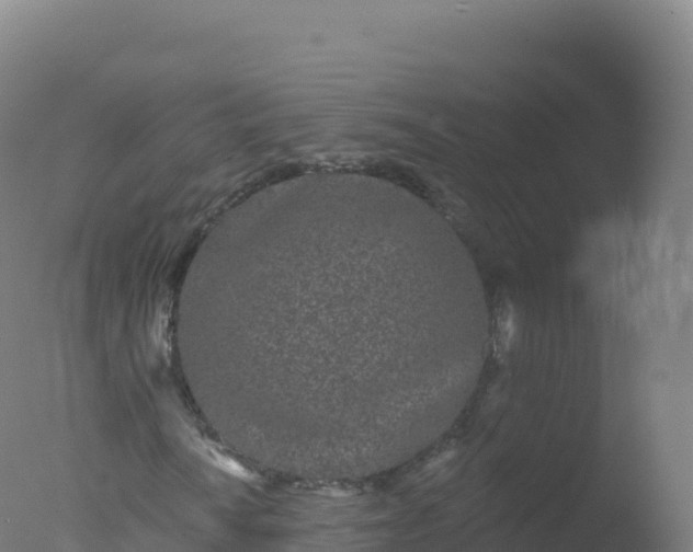 X0000077351010200610271822