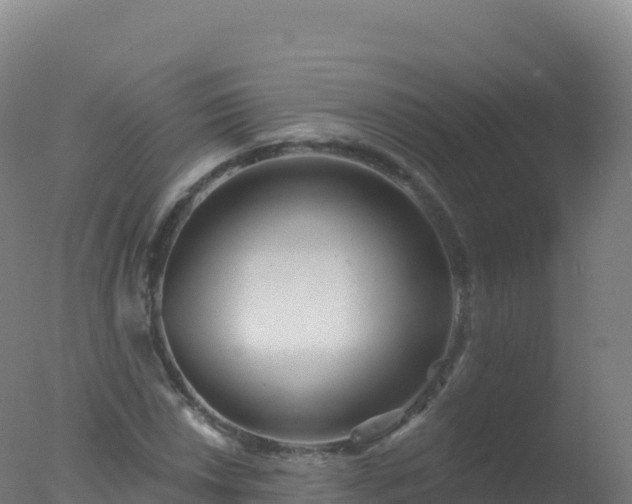 X0000077351018200610271823