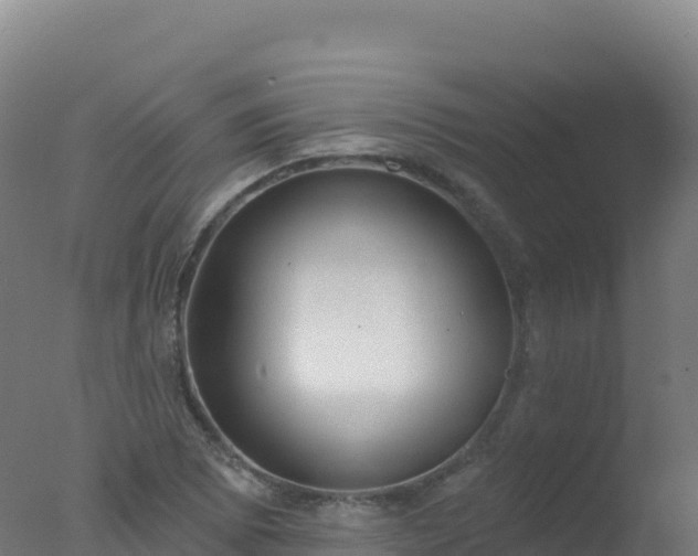 X0000077351073200610271822