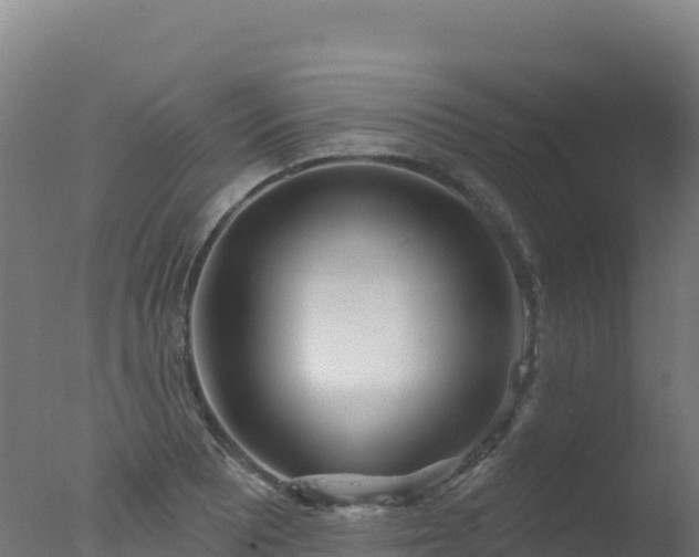 X0000077351081200610271822