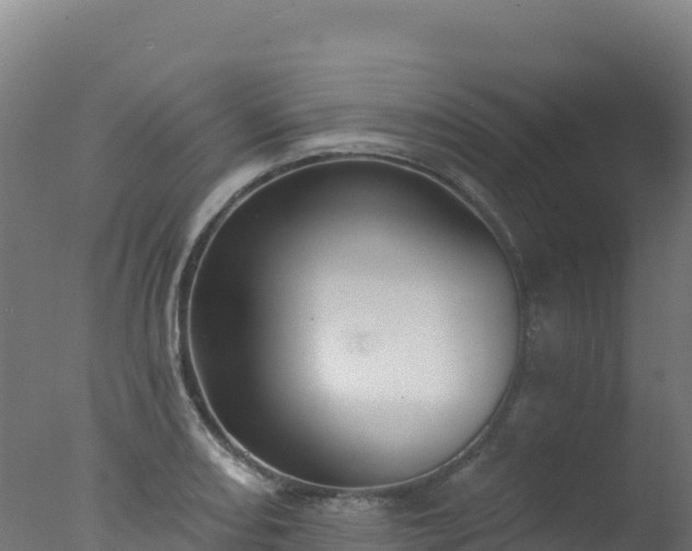 X0000077351082200610271822