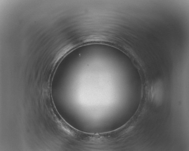 X0000077351129200610271821
