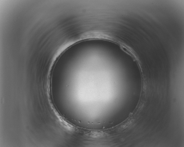 X0000077351144200610271821