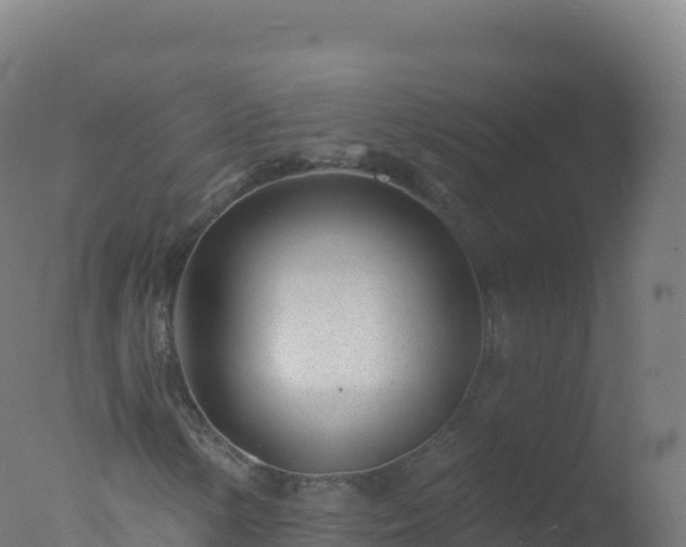 X0000077351154200610271821
