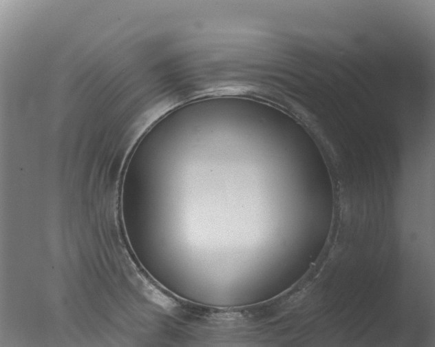 X0000077351186200610271820