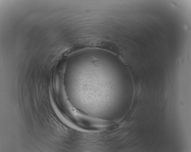 X0000077351202200610271819