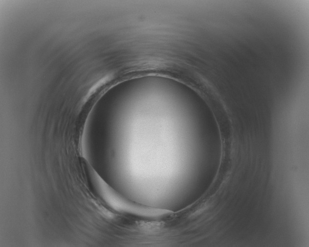 X0000077351210200610271819