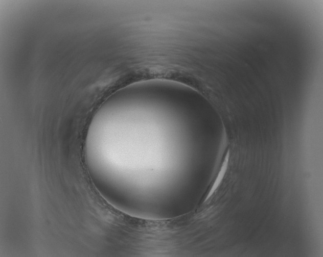 X0000077351249200610271819