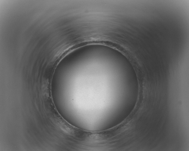 X0000077351265200610271819