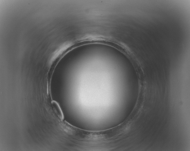 X0000077351269200610271819