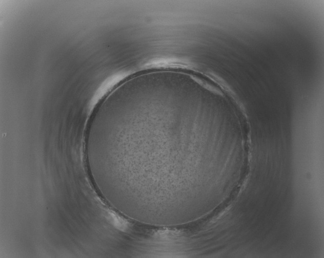 X0000077351277200610271819