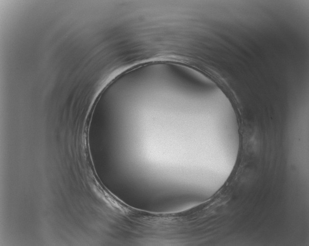 X0000077351292200610271818
