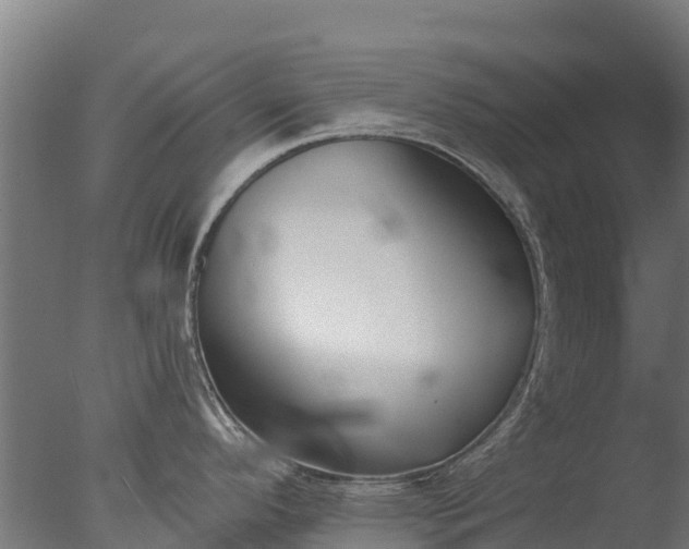 X0000077351296200610271818