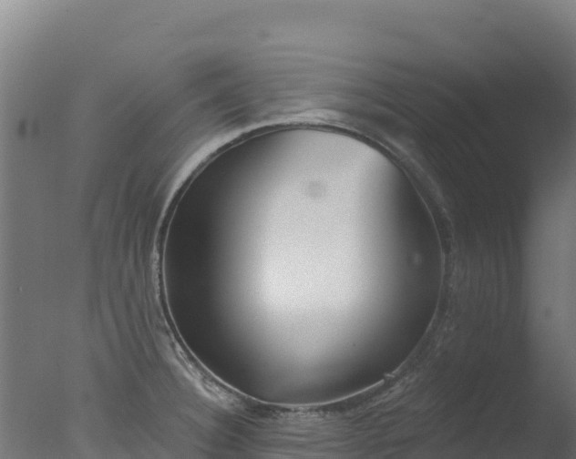 X0000077351332200610271818