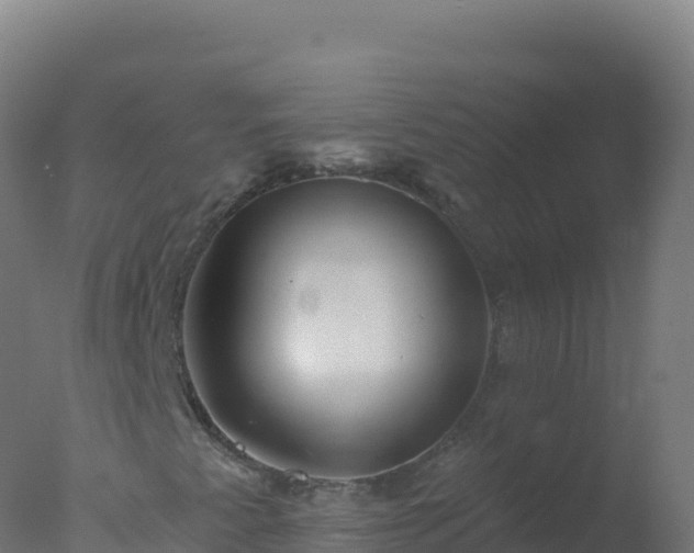 X0000077351345200610271817