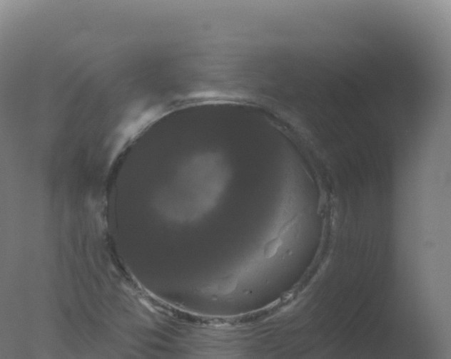 X0000077351357200610271817