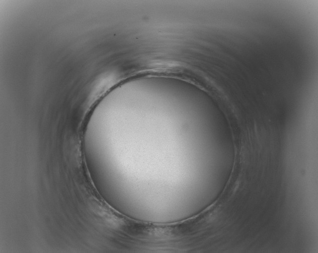 X0000077351362200610271817
