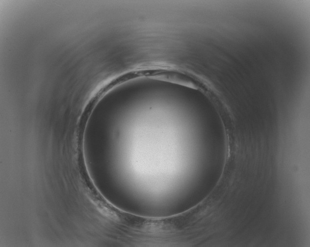 X0000077351364200610271817