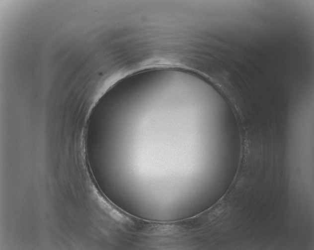 X0000077351382200610271817