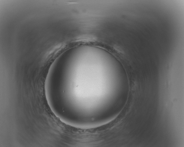 X0000077351398200610271816
