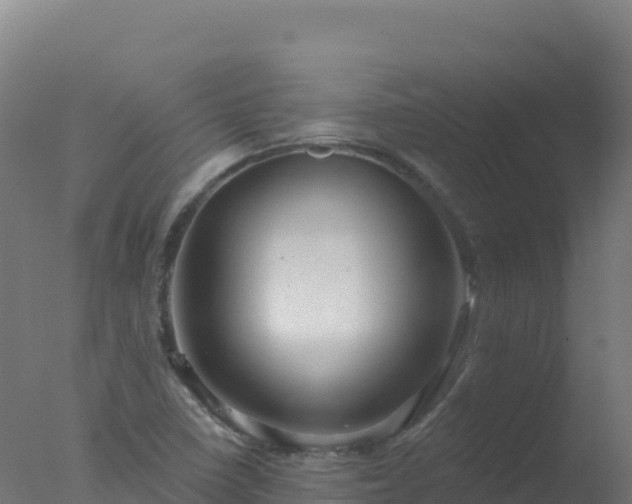 X0000077351410200610271816
