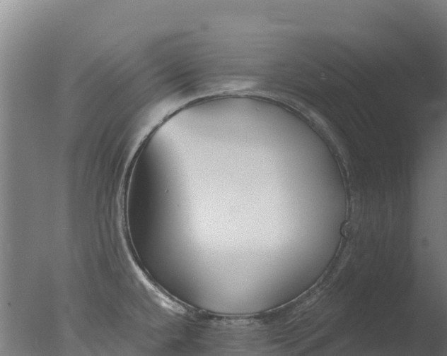 X0000077351432200610271817
