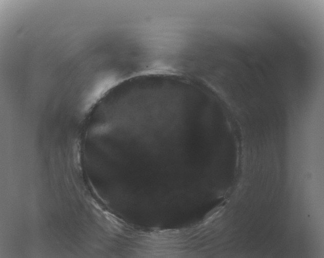 X0000077351455200610271816