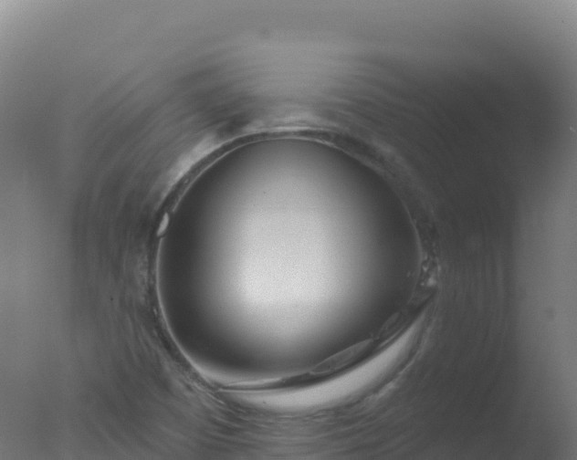 X0000077351457200610271816