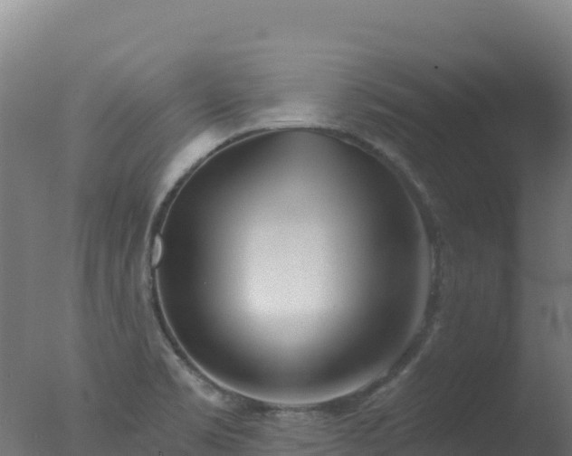 X0000077351469200610271815