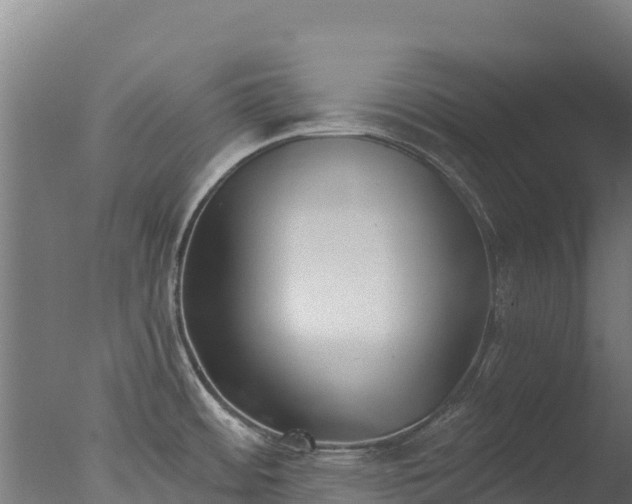 X0000077351484200610271815