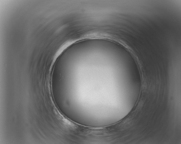 X0000077351486200610271815