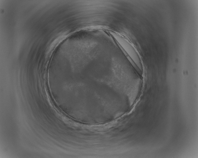 X0000077350001200611031833