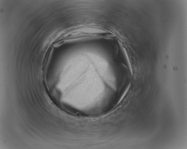 X0000077350002200611031833