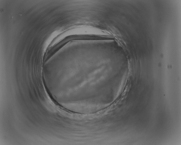 X0000077350003200611031833