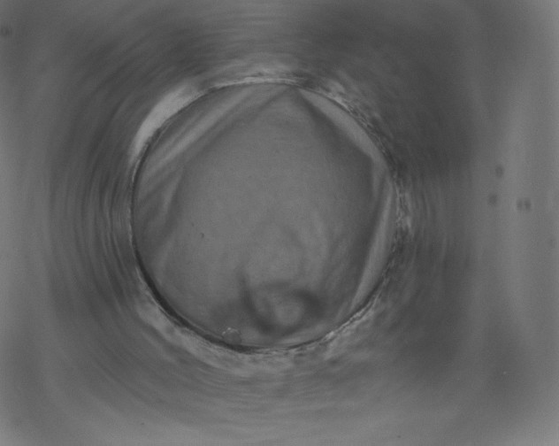 X0000077350004200611031833