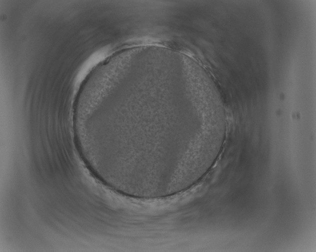 X0000077350006200611031833