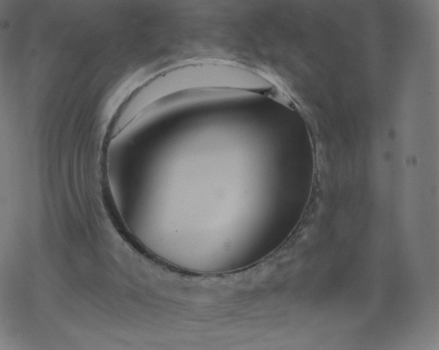 X0000077350007200611031833