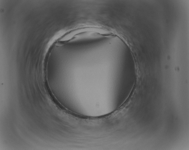 X0000077350008200611031833