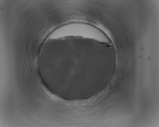 X0000077350009200611031833