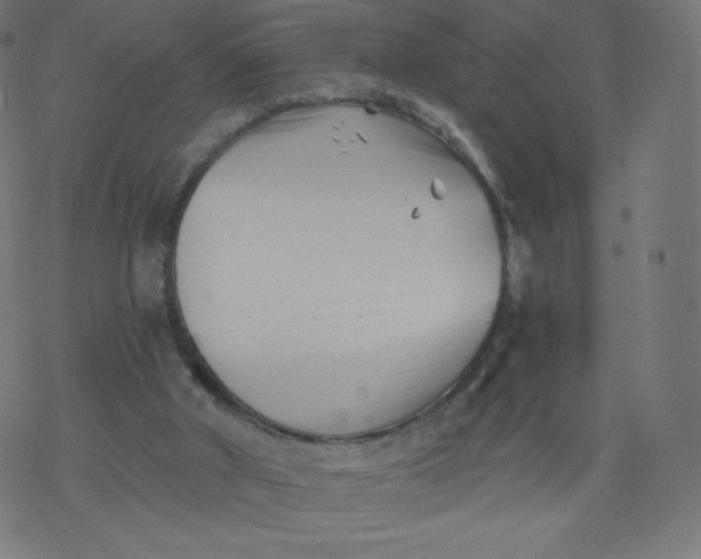 X0000077350010200611031833