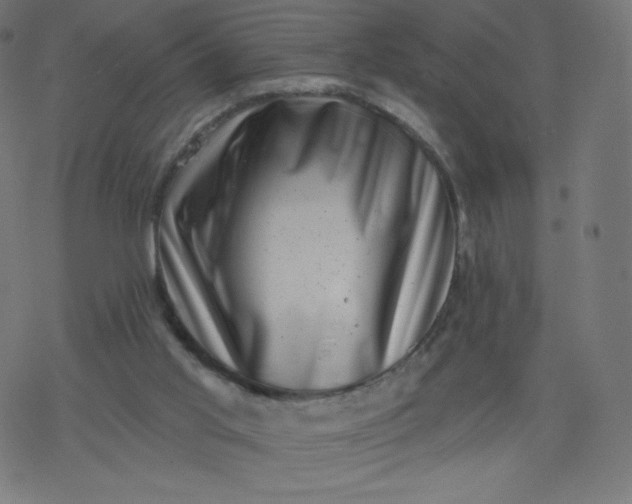 X0000077350013200611031832