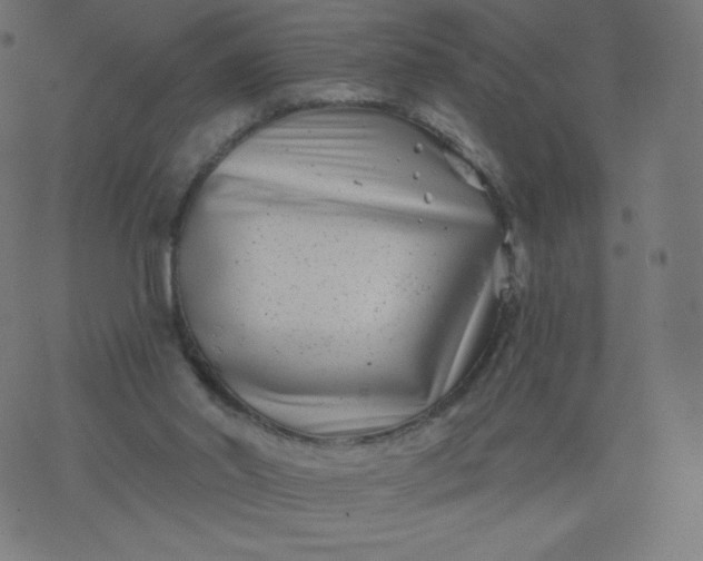 X0000077350014200611031832