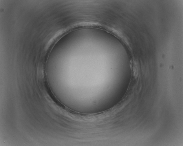 X0000077350015200611031832