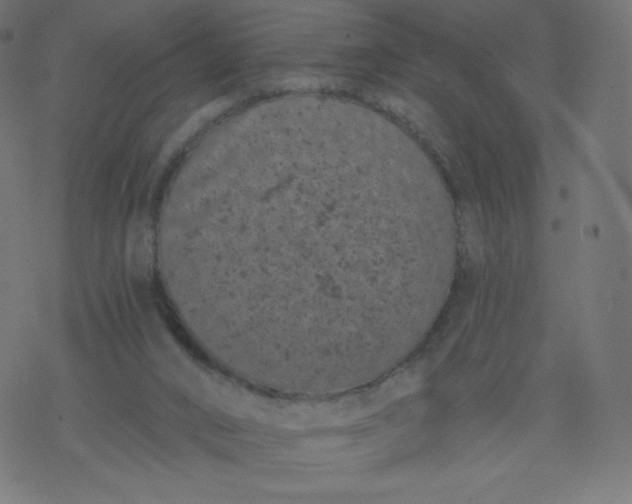 X0000077350016200611031832