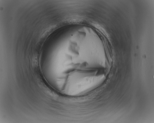 X0000077350017200611031832