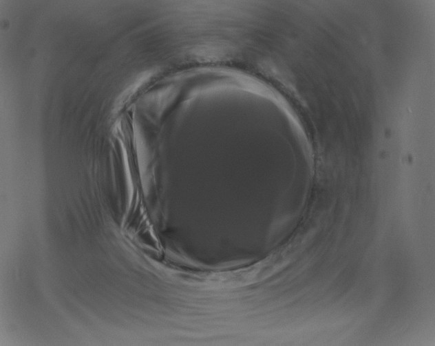 X0000077350019200611031832