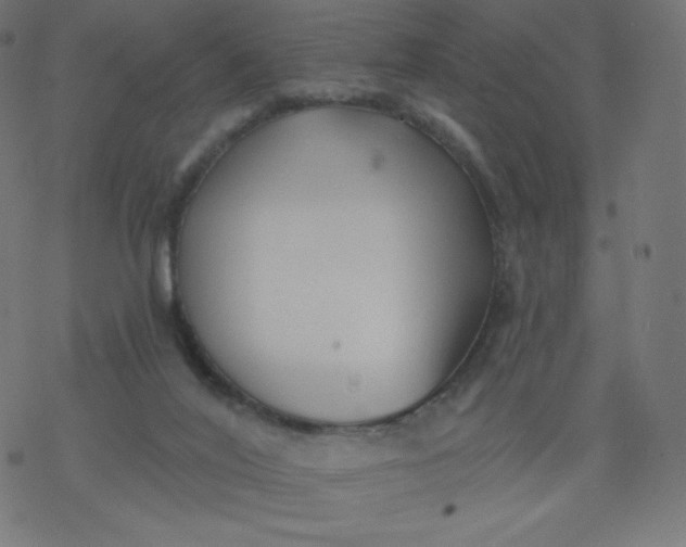 X0000077350020200611031832