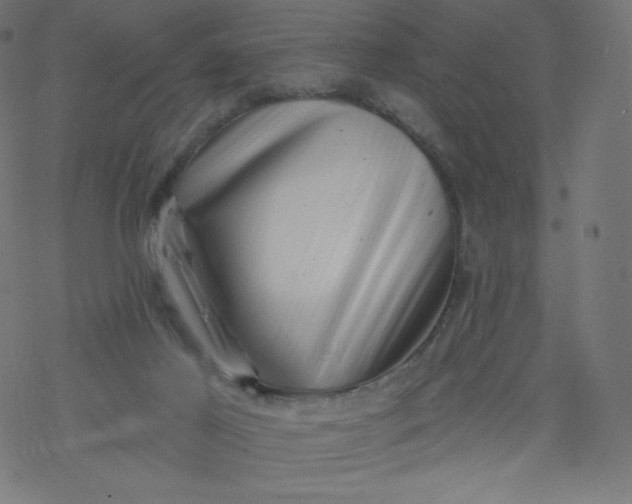 X0000077350021200611031832