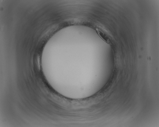 X0000077350022200611031832