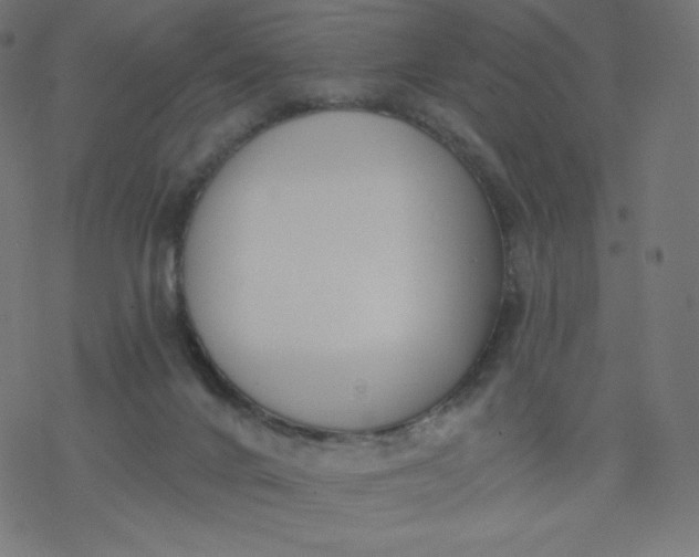 X0000077350024200611031832